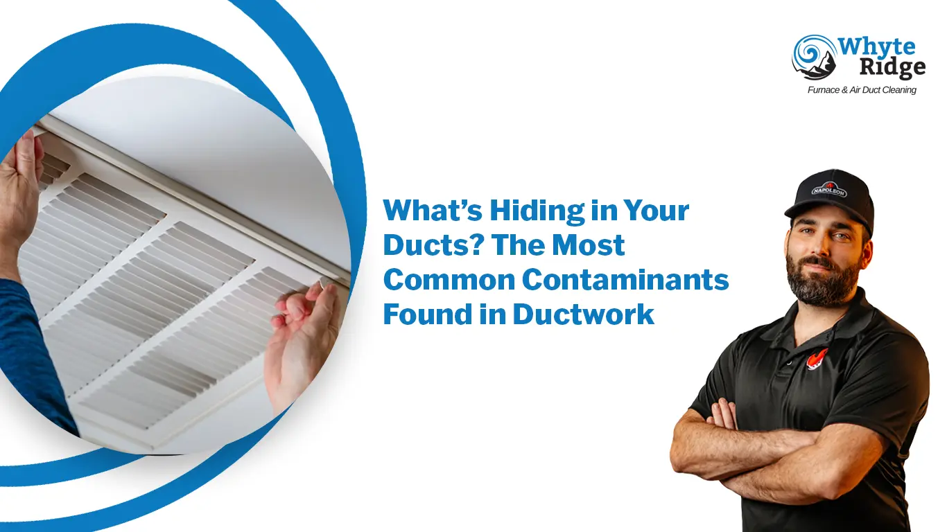 What’s Hiding in Your Ducts The Most Common Impurities Found in Ductwork