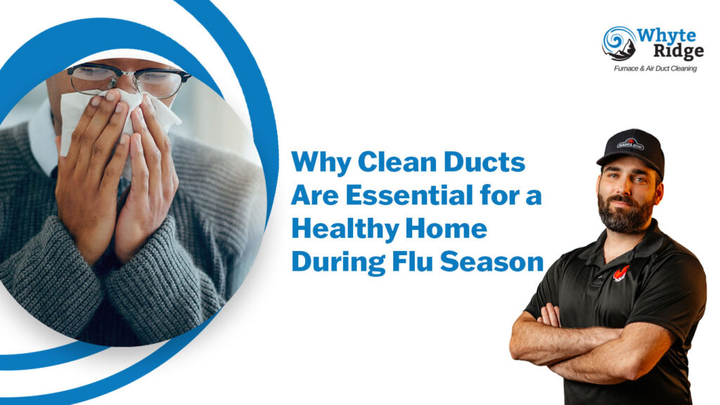 clean ducts for flu season