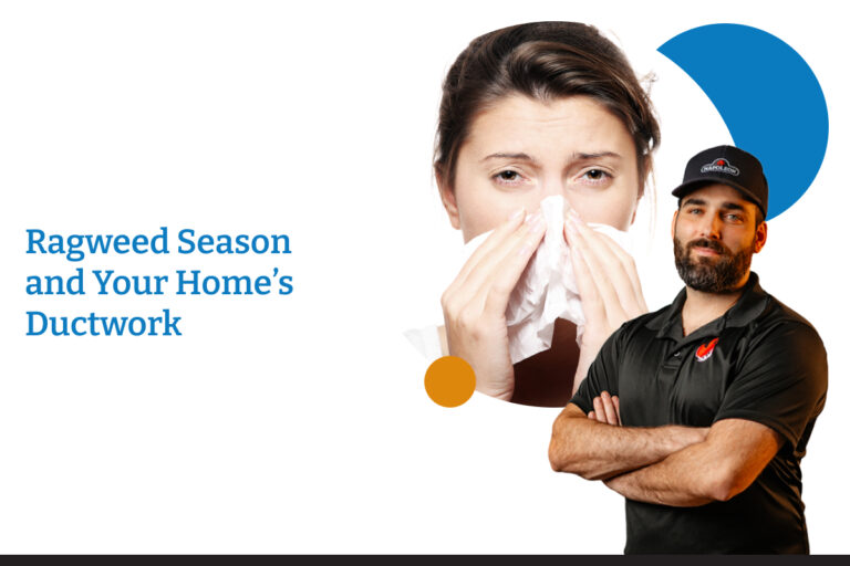 Ragweed Season and Your Home’s Ductwork