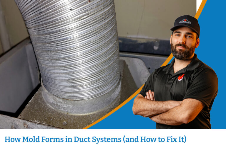 How Mold Forms in Duct Systems (and How to Fix It)